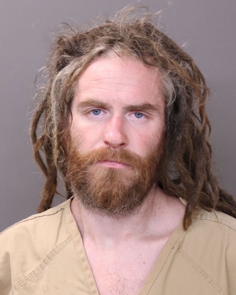 Booking photo of Sky Stanley Perkins