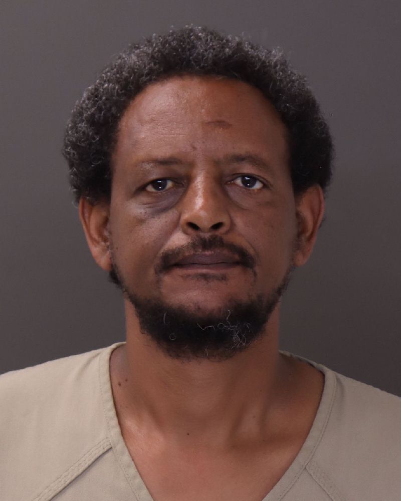Booking photo of Hagos G Negash