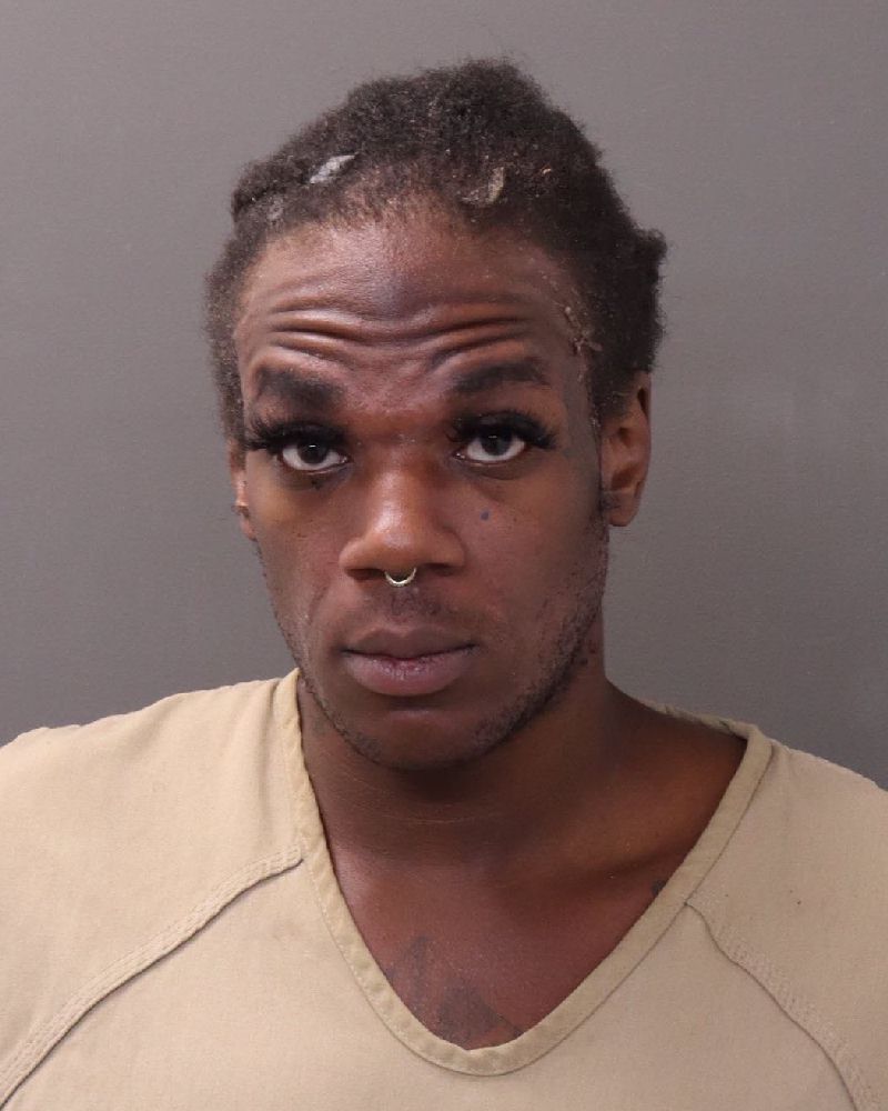 Booking photo of Londyn Monroe