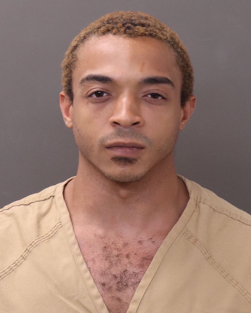 Dandre Goins booking photo