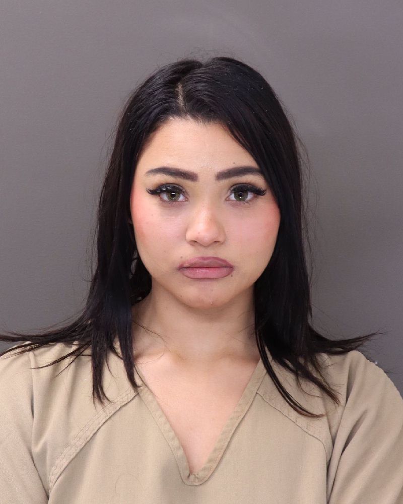 Booking photo of Abagail A Nebbergall