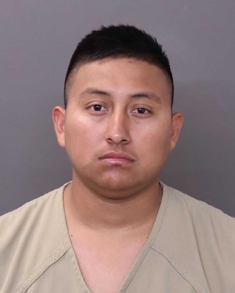 Booking photo of Adamir Jose Palmer