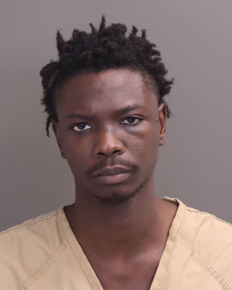 Booking photo of Muhamed E Ndiaye