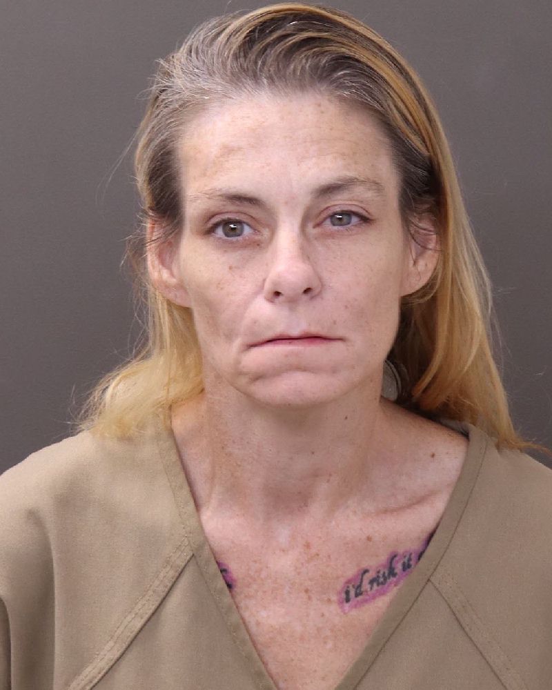 Booking photo of Angela Nichol Faber