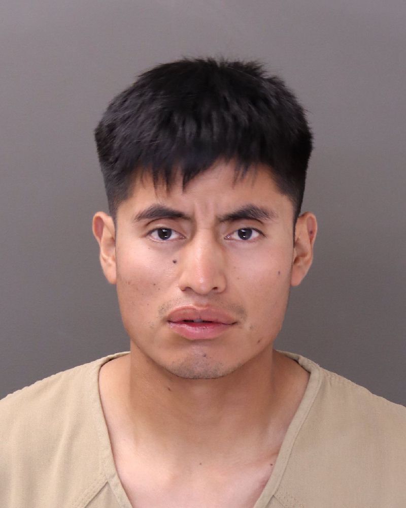 Booking photo of Roberto L Perez-larios