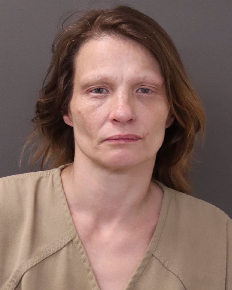 Booking photo of April Faye Speakman