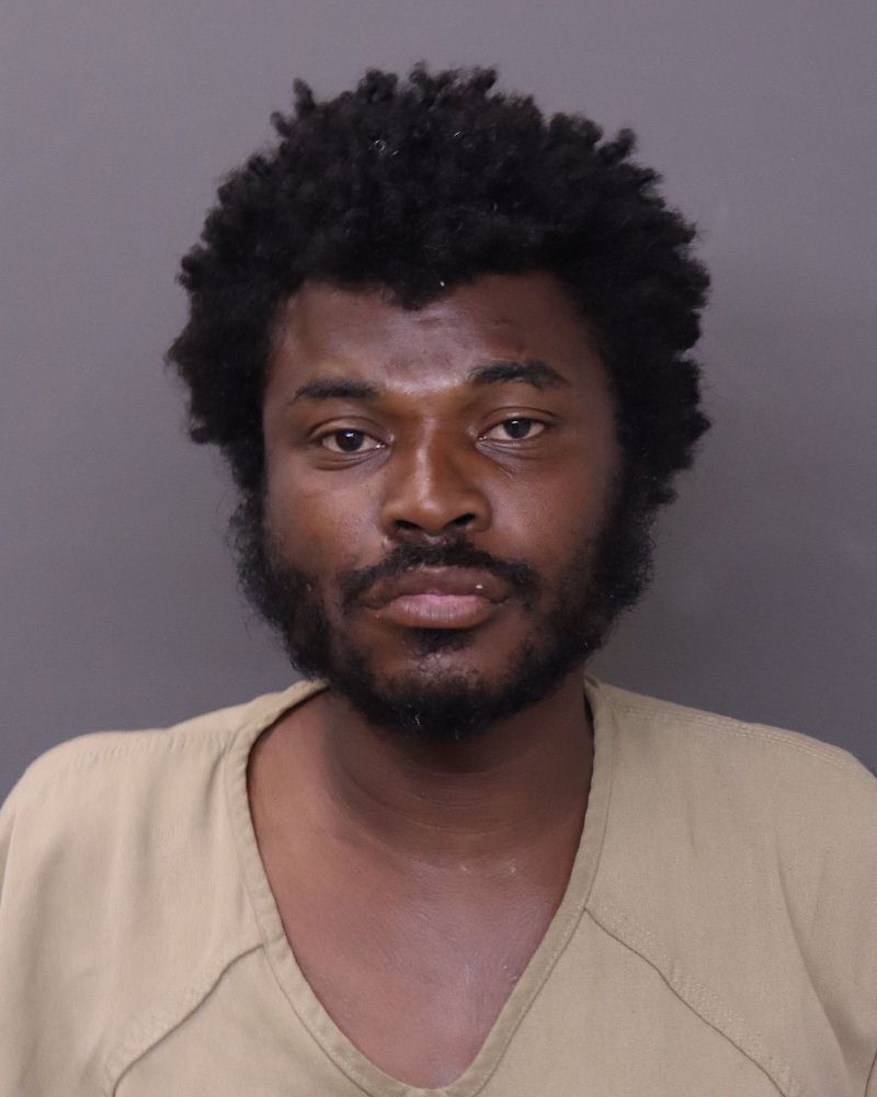 Booking photo of Mazi O Mcghee