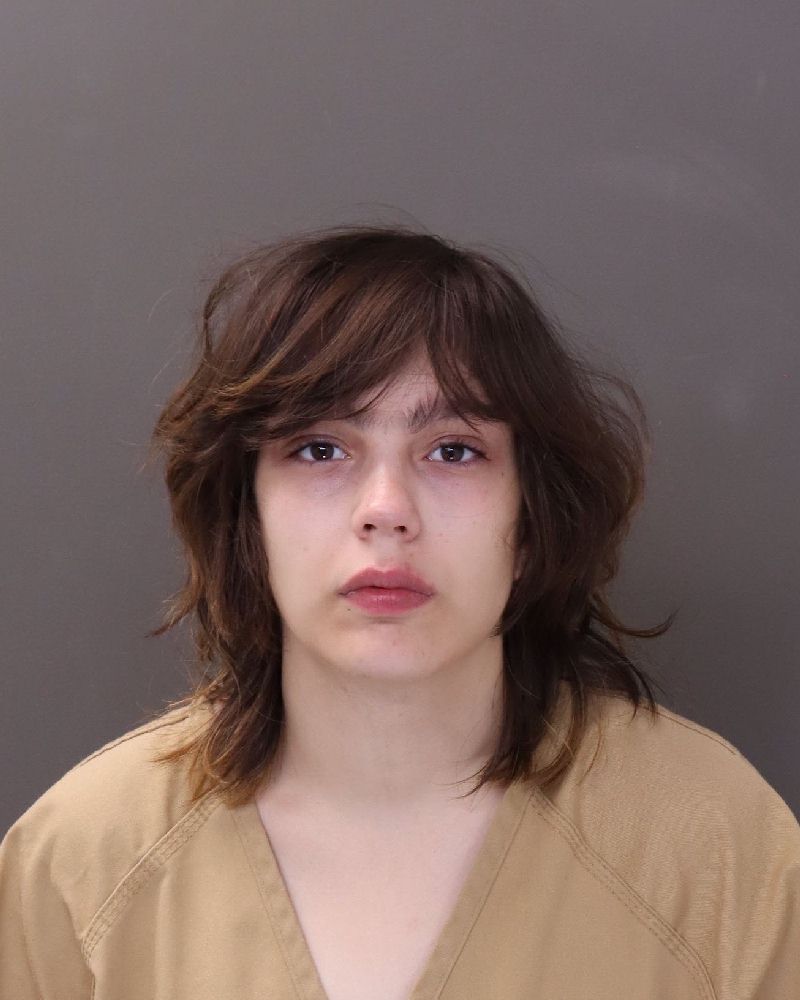 Booking photo of Caitlynn Hope Hodges