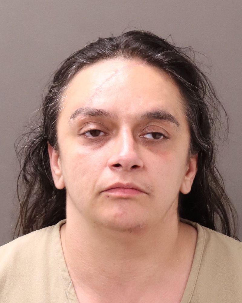 Kimberly Stevens booking photo