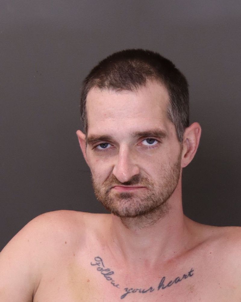 Booking photo of Tylor Trago