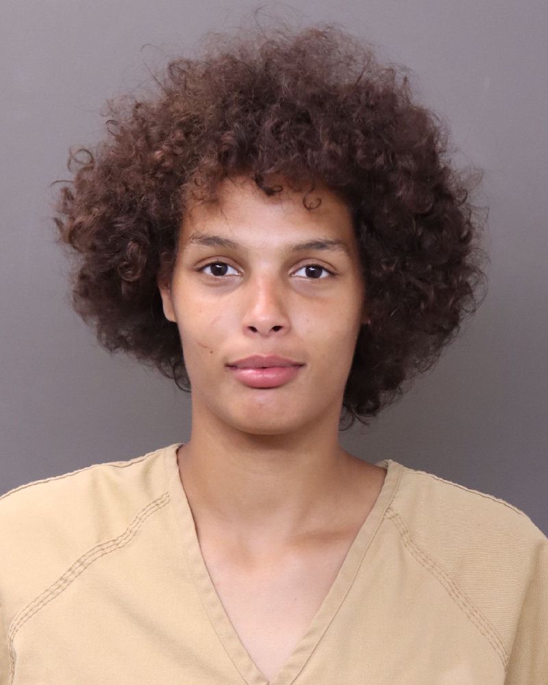 Booking photo of Brandon Princess
