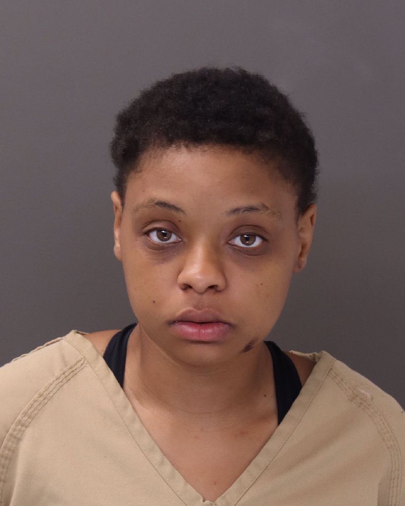 Booking photo of Erica Watters