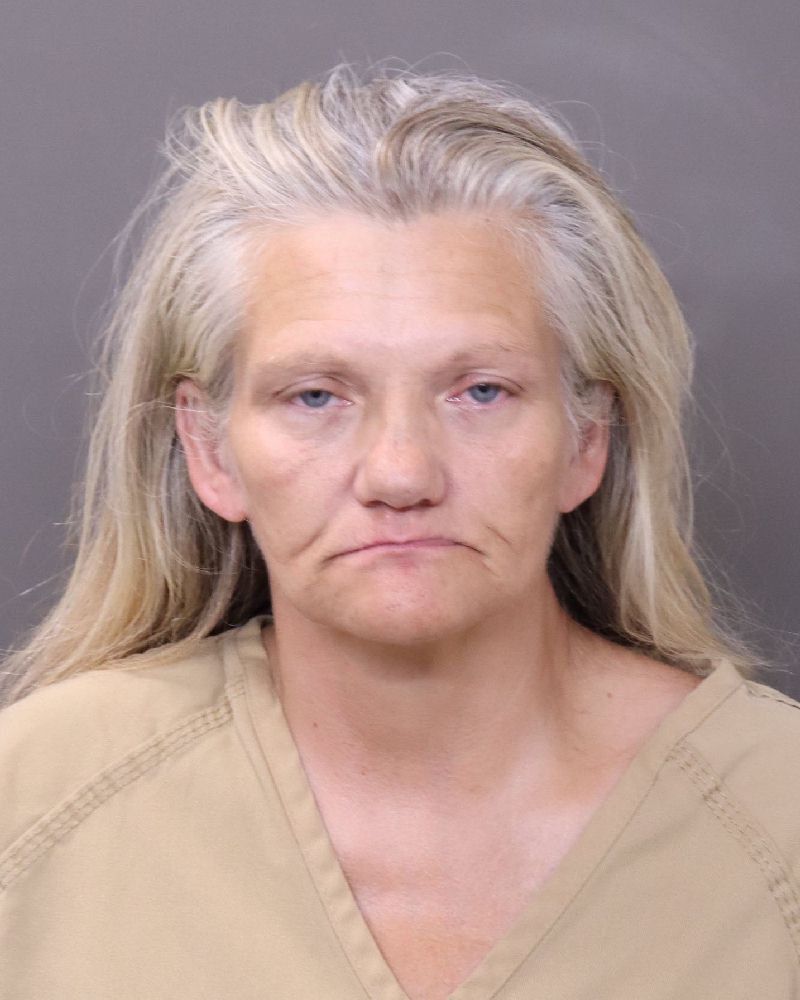 Booking photo of Theresa Lynn Perkins
