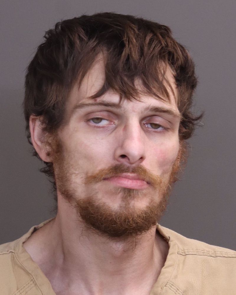Booking photo of Paul Mason Wedemeyer