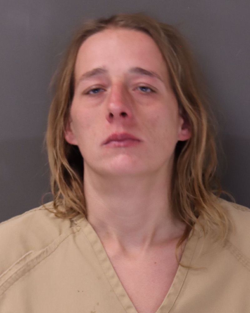 Booking photo of Adrienne Marie Hockett