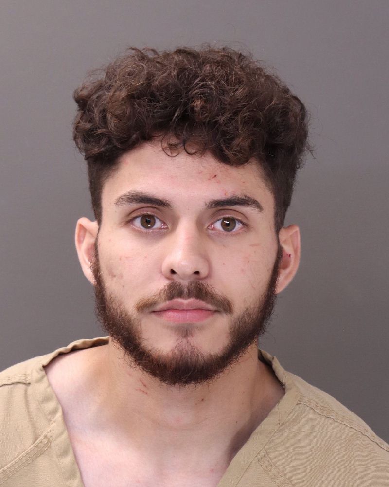 Booking photo of David Estrada