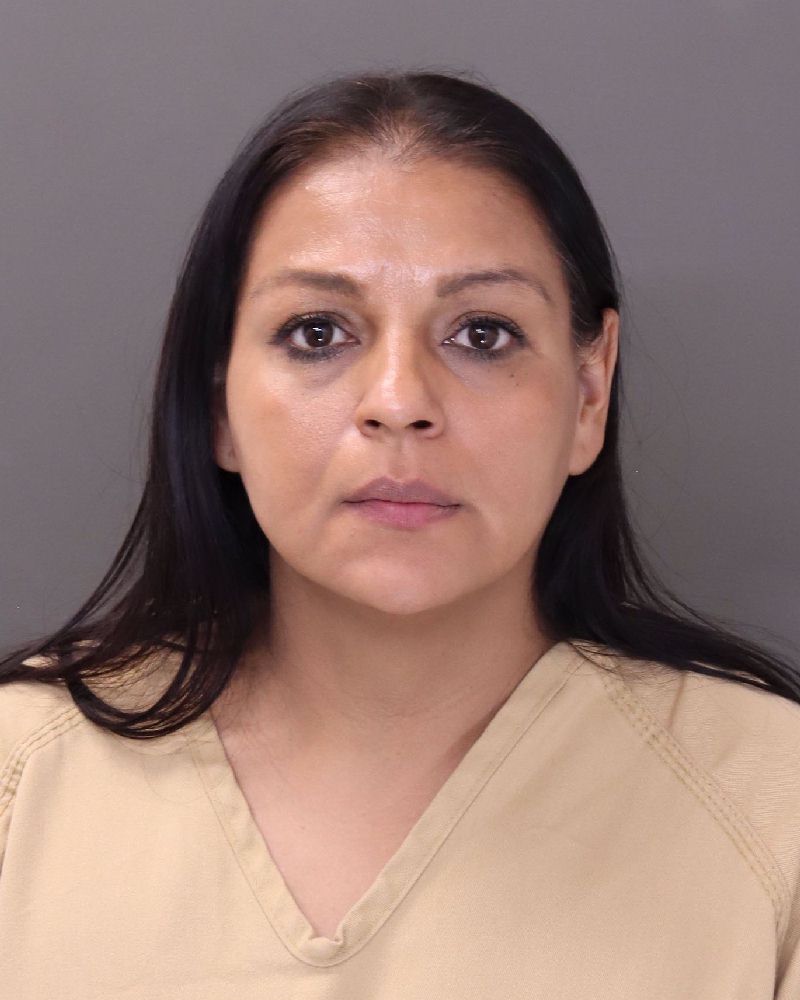 Booking photo of Yolanda Rosibel Delgadillo-gudwo