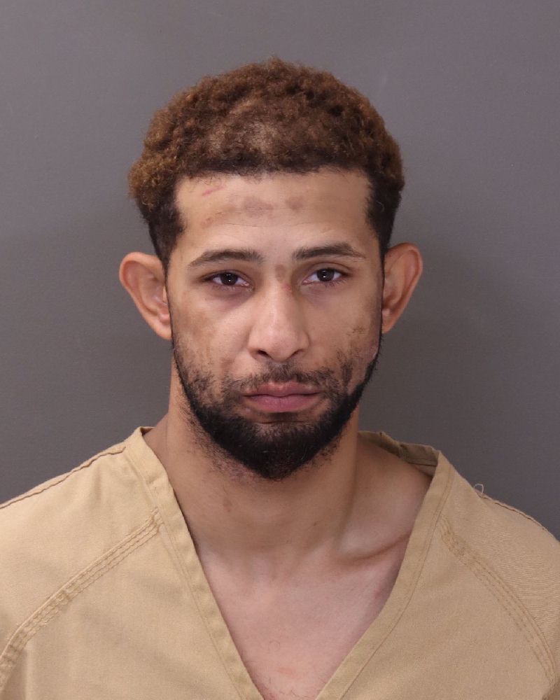 Booking photo of Jose R Rosario-nunez