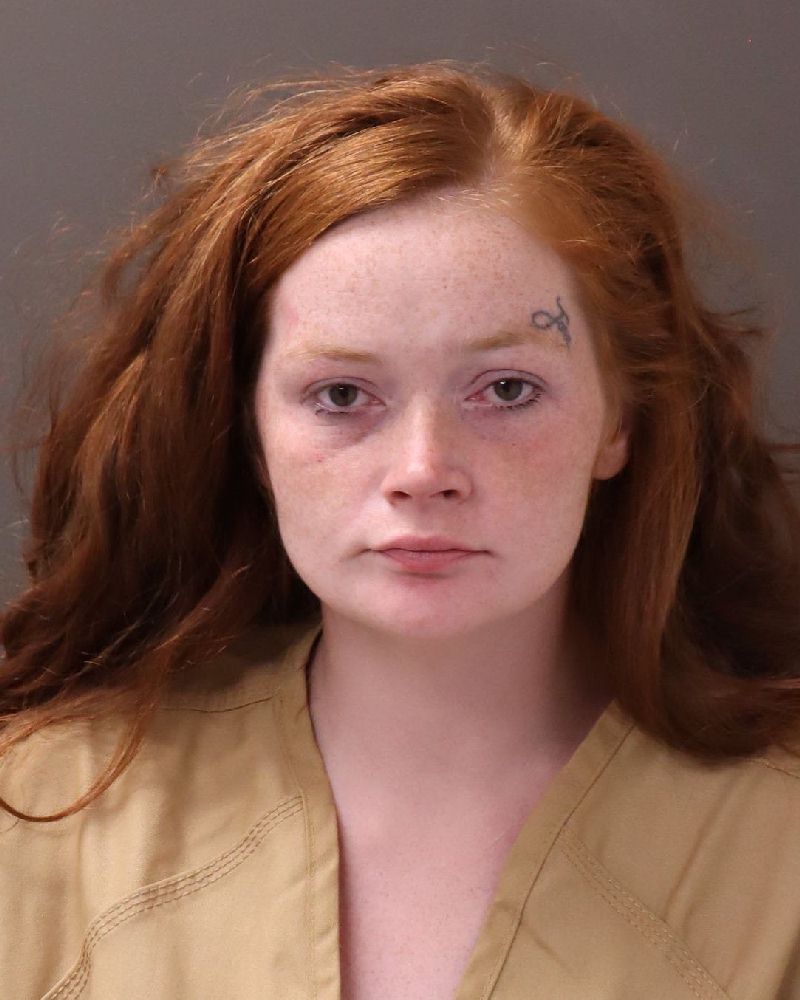 Booking photo of Rebecca L Hough
