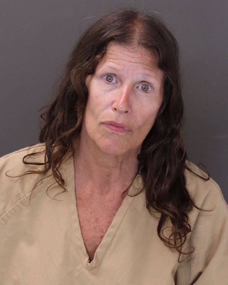Booking photo of Robin L Davis