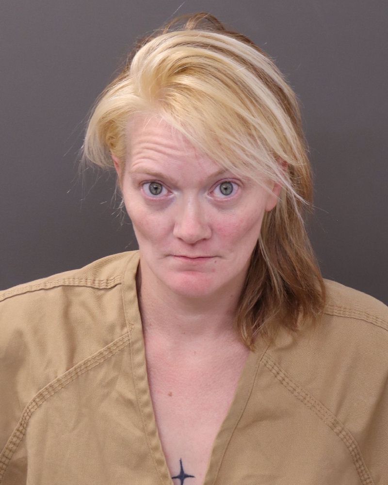 Booking photo of Nicole Lynn Collins