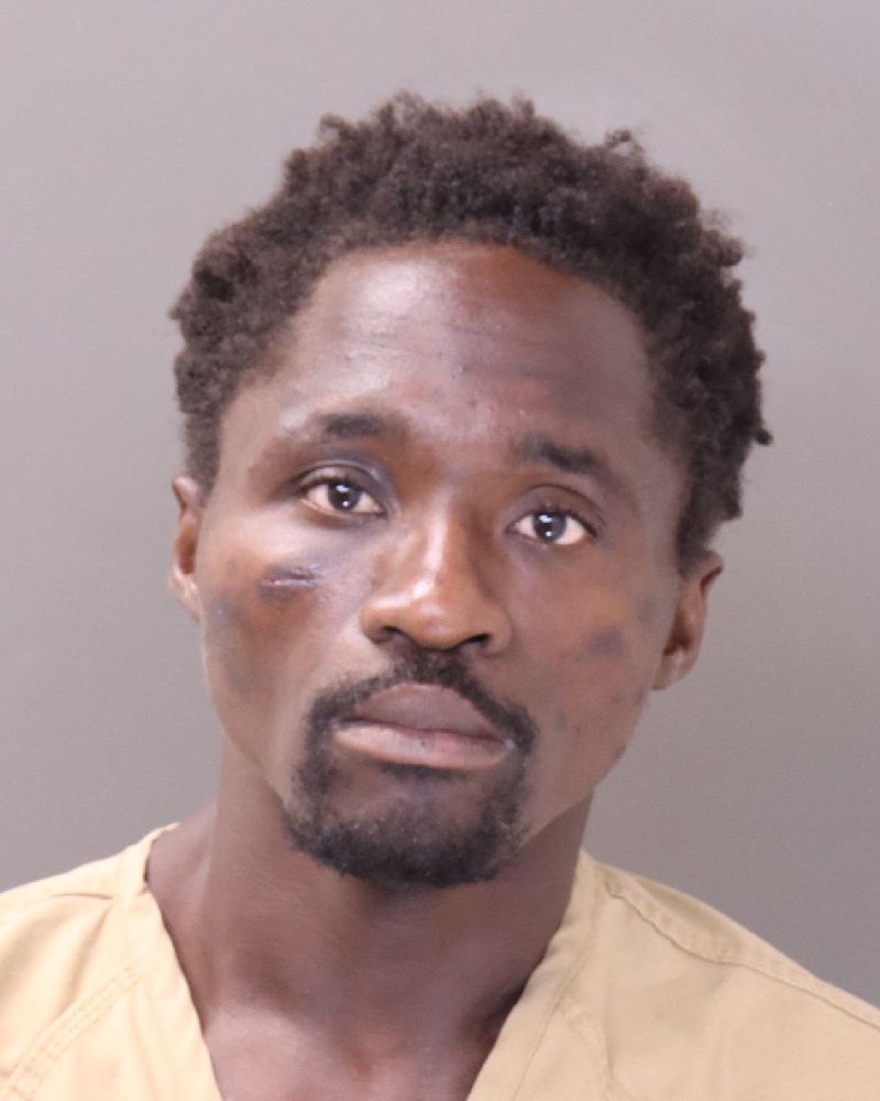 Booking photo of Isa H Mnondwa