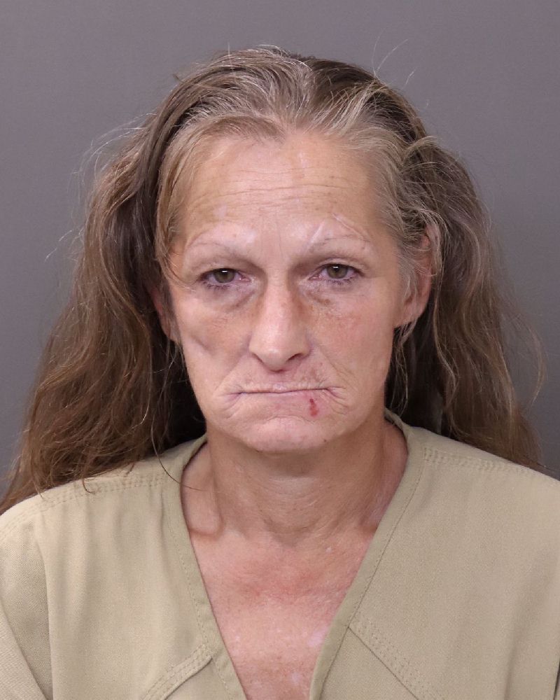 Booking photo of Amanda S Miller