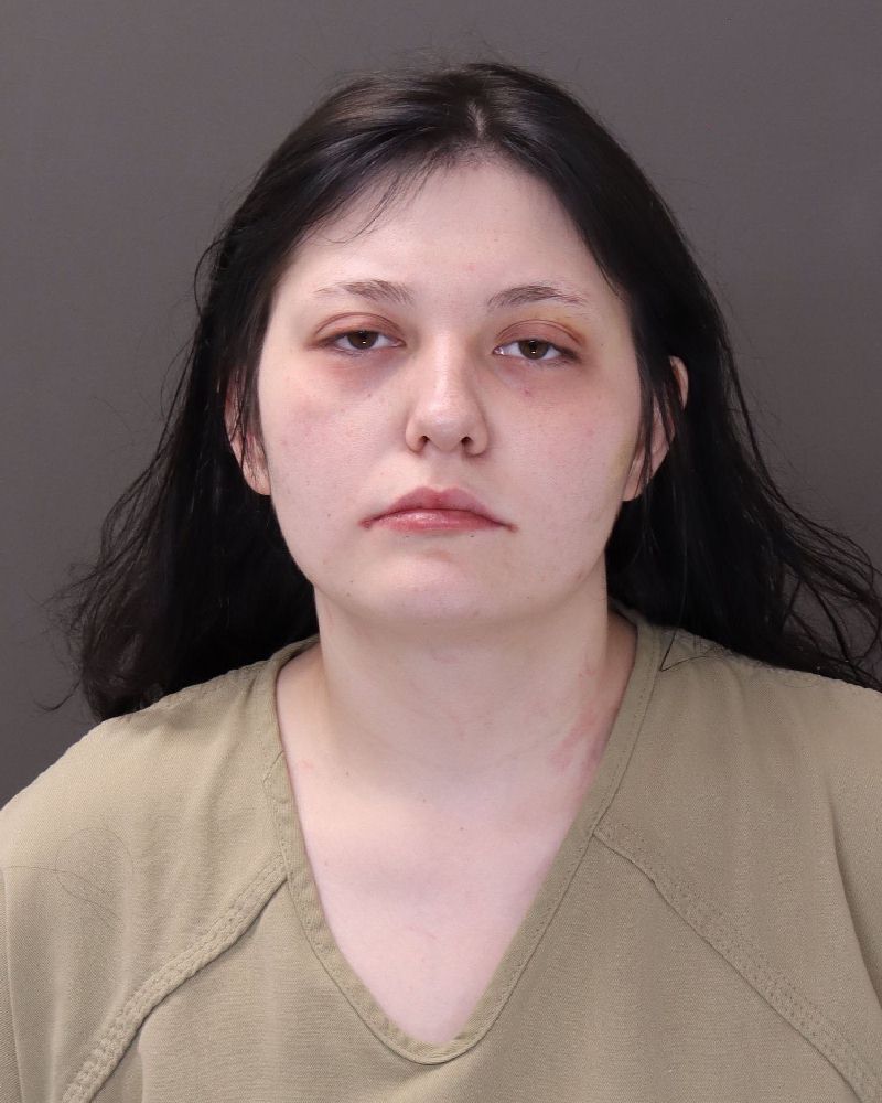 Booking photo of Haley Michelle Moss