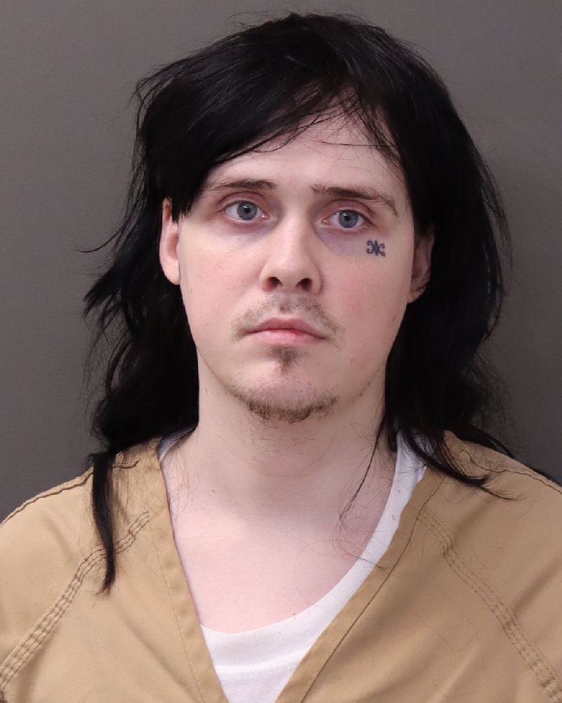 Booking photo of Aleksander L Viebrooks