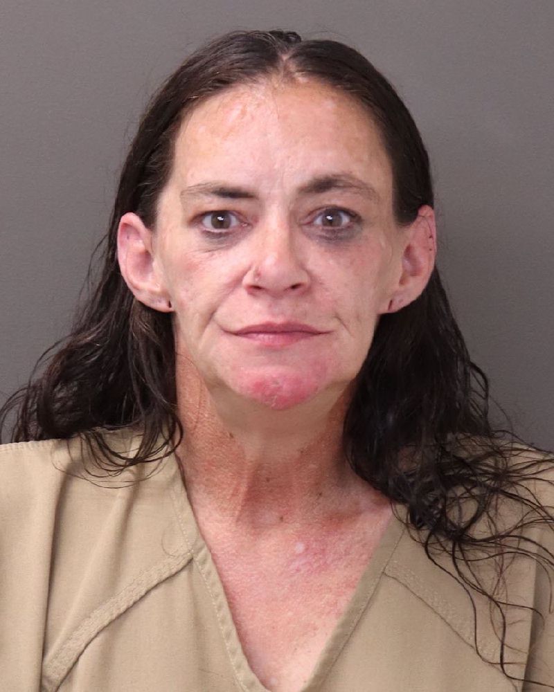 Booking photo of Rebecca Jean Smith