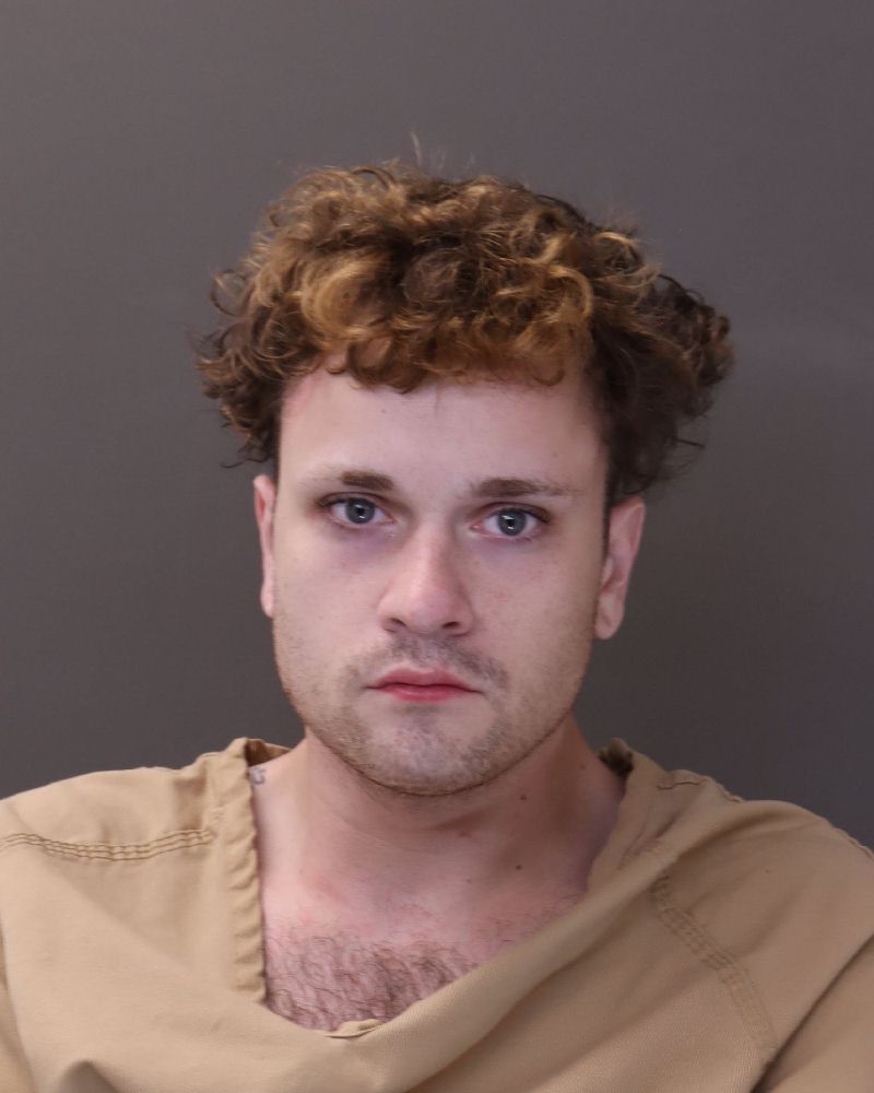 Booking photo of Brendan James Lipps