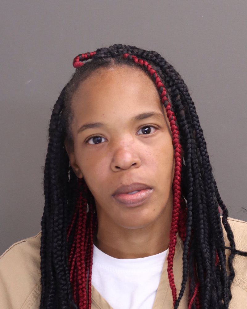 Ashlei Sellers booking photo