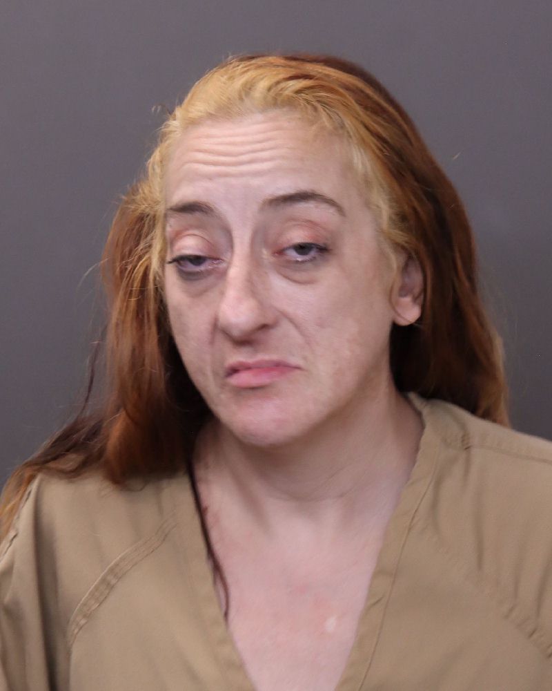 Booking photo of Anita Ann Hunt