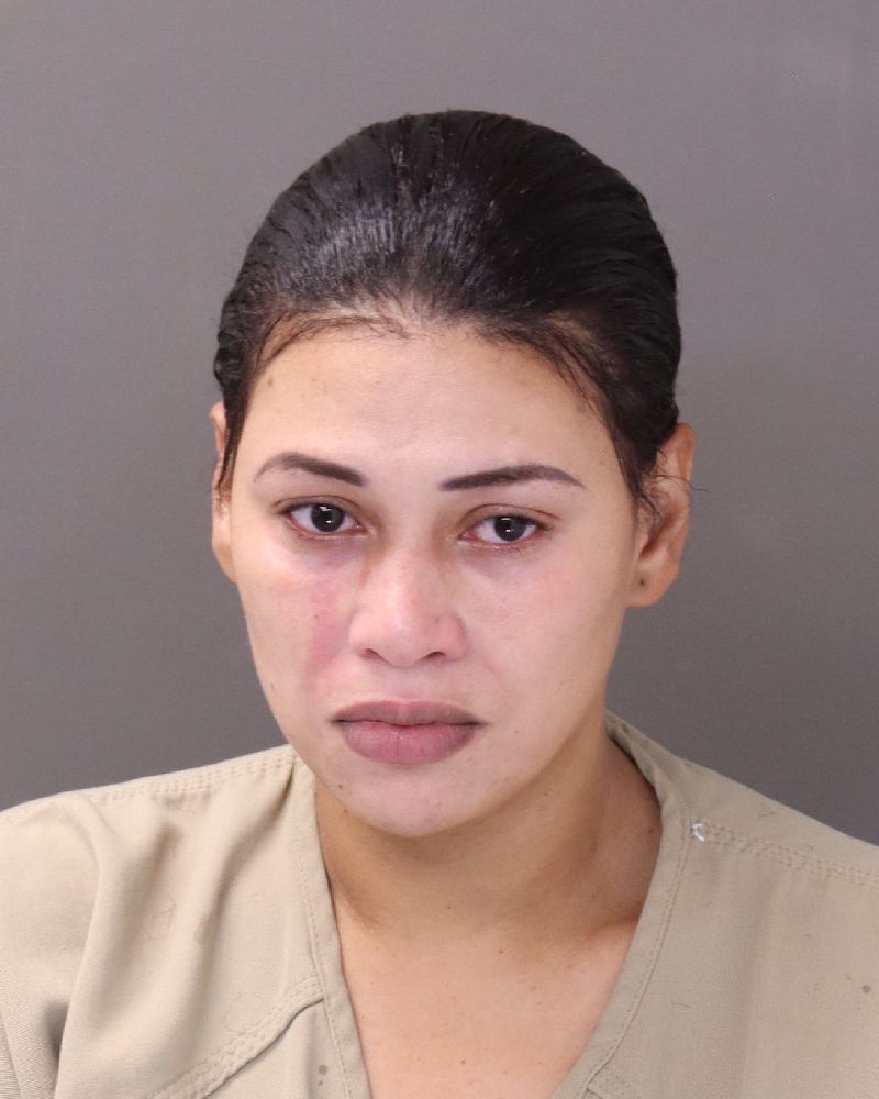 Booking photo of Ariela Pena Jimenez