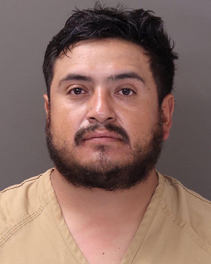 Booking photo of Ricardo Morales Agullar