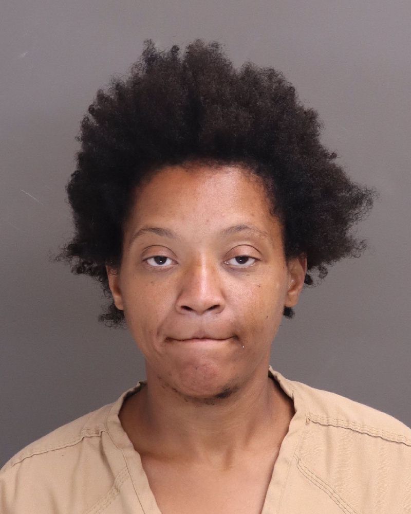 Booking photo of Sasha L Singer