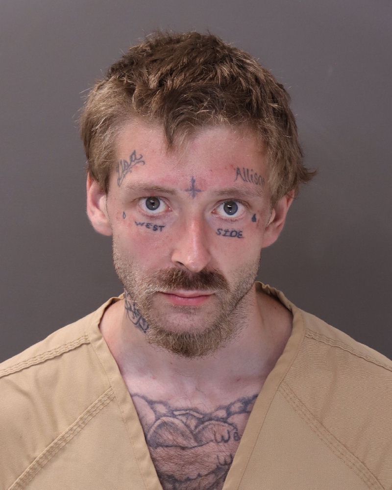 Booking photo of William A Ii Husk