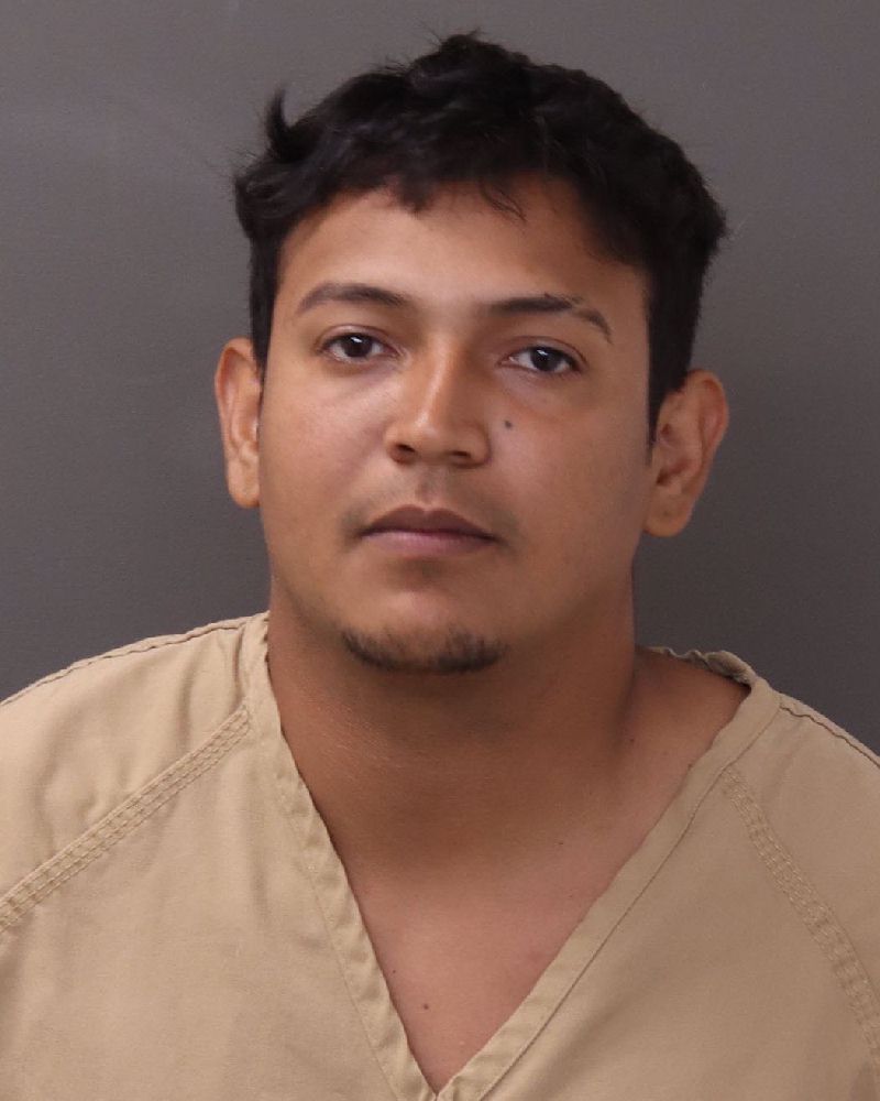 Booking photo of Elvis Araujo