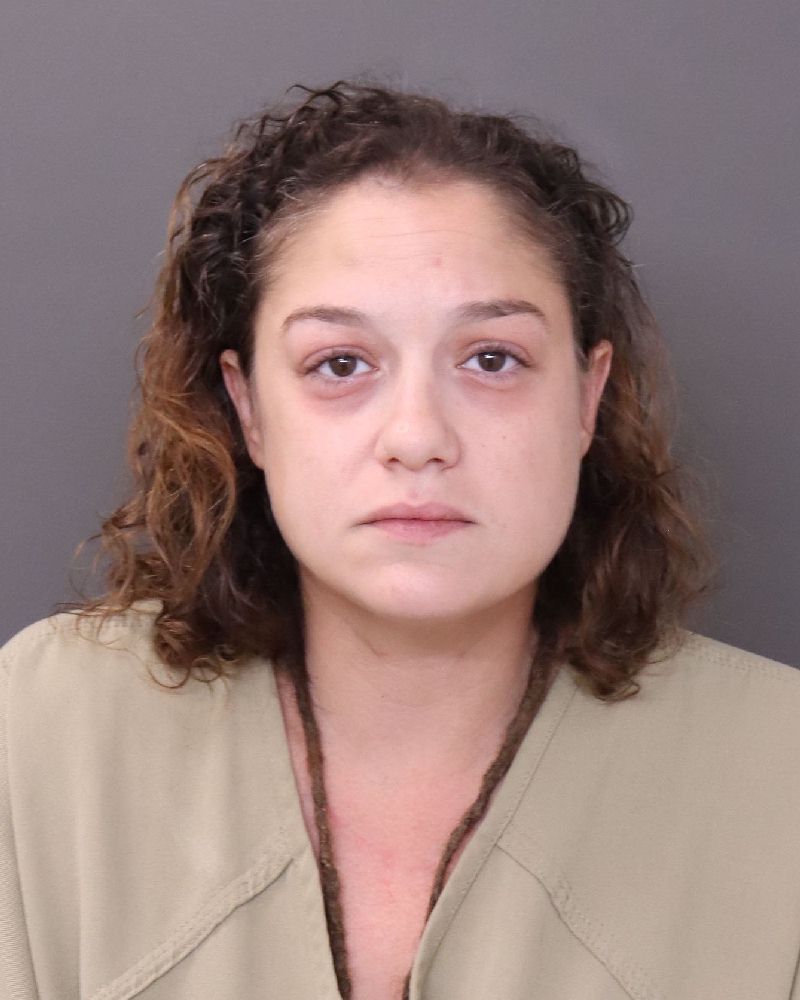 Booking photo of Denise Rochelle Day