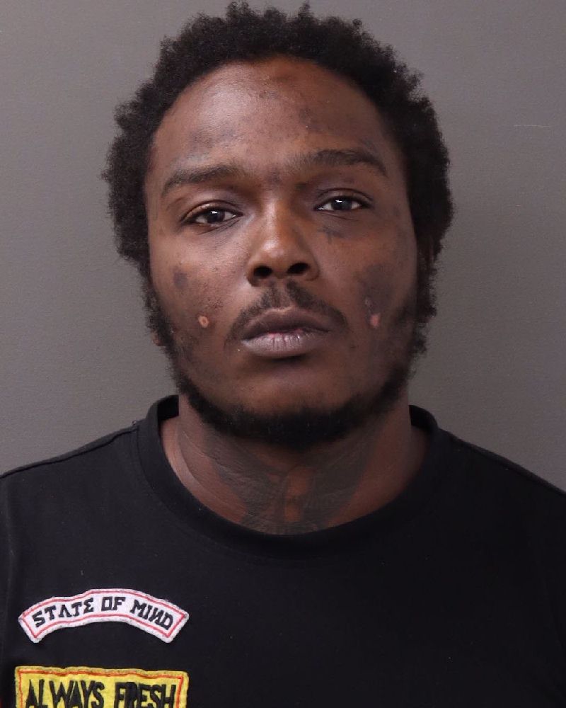 Trilane Johnston booking photo