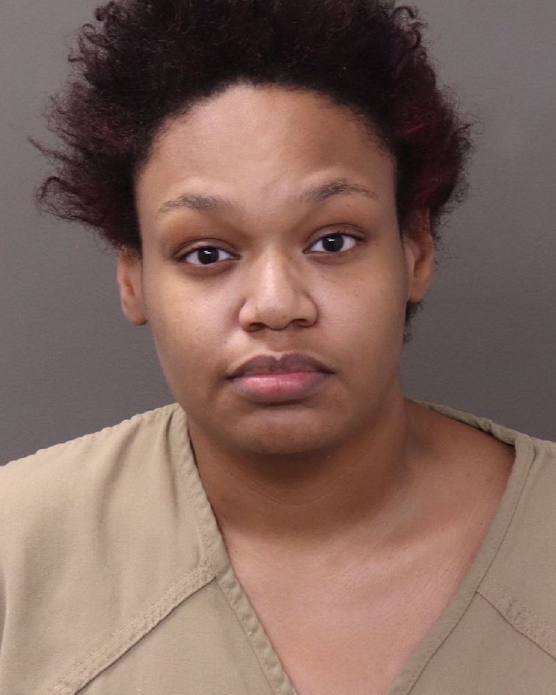 Booking photo of Savannah Elizabeth Lewis-hunter