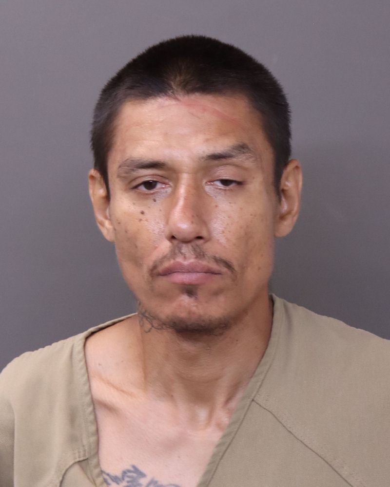 Booking photo of Brandon Lee Sourintha
