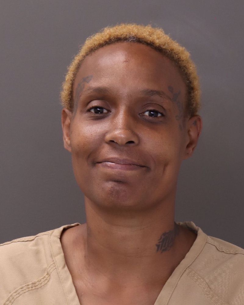 Booking photo of Sophia Gill