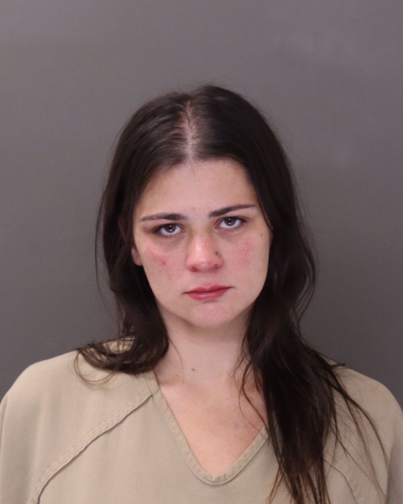 Jamie Lynn Schubert booking photo