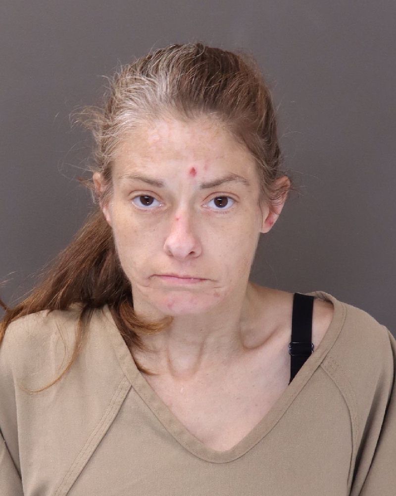Brandy Nicole Hamilton booking photo