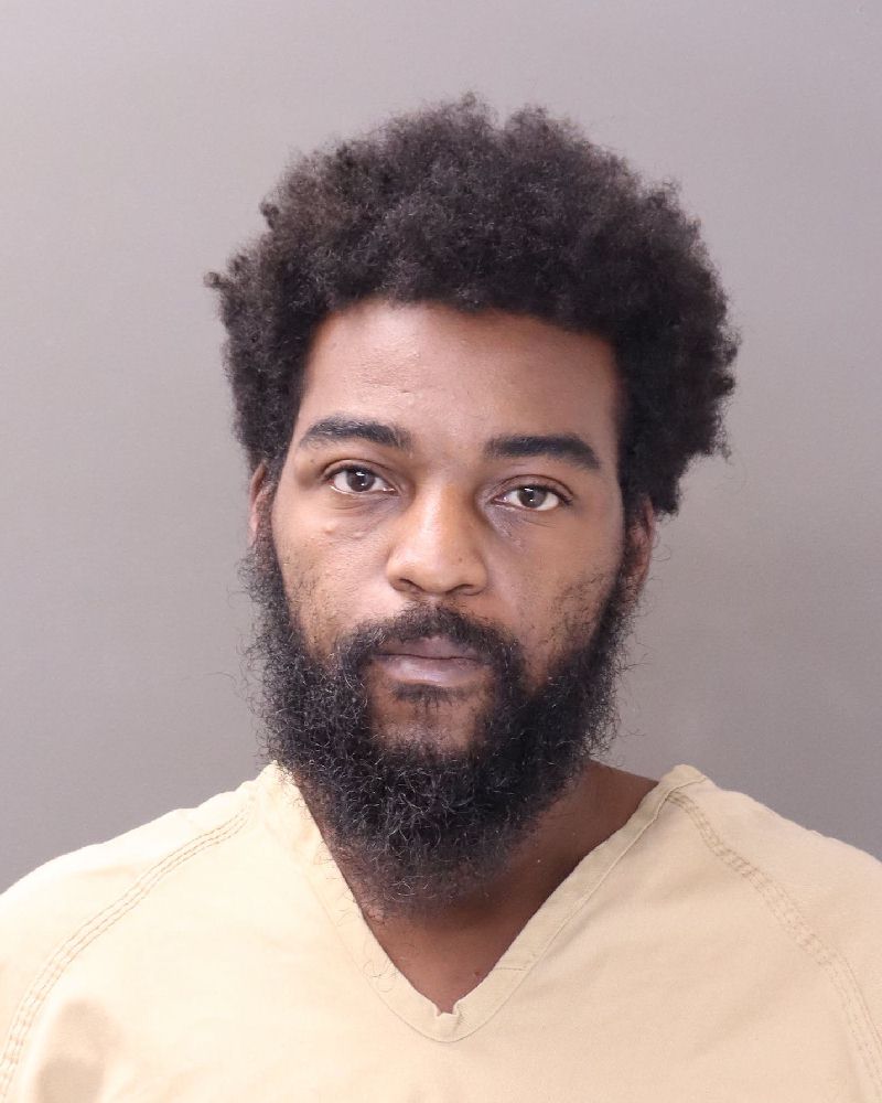 Booking photo of Wayne Michale Ford