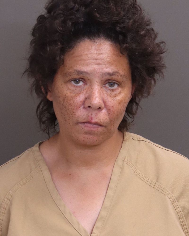 Booking photo of Stephanie Lynn Goins
