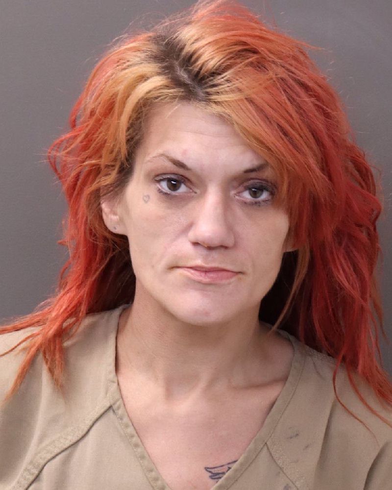 Booking photo of Suzanna Brehanna Hinton
