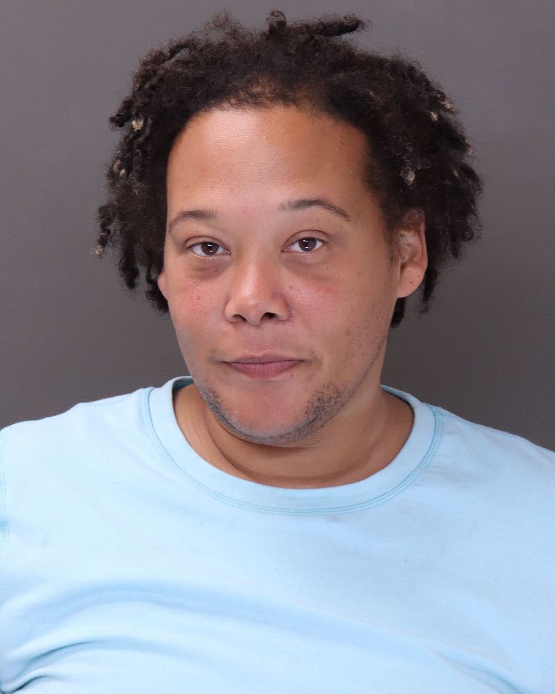 Amanda D Delaboin booking photo