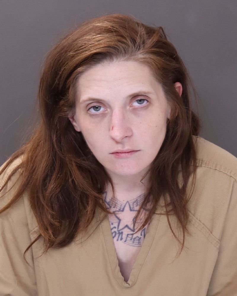 Carlee Ann Hays booking photo